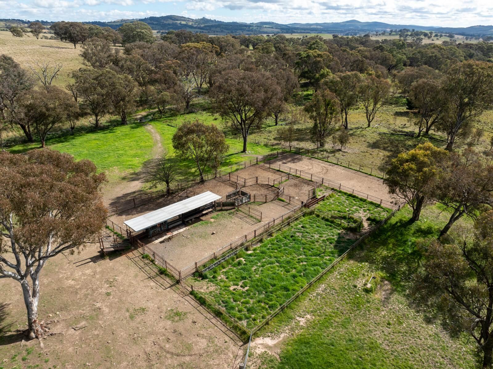 Rural Property For Sale Orange NSW