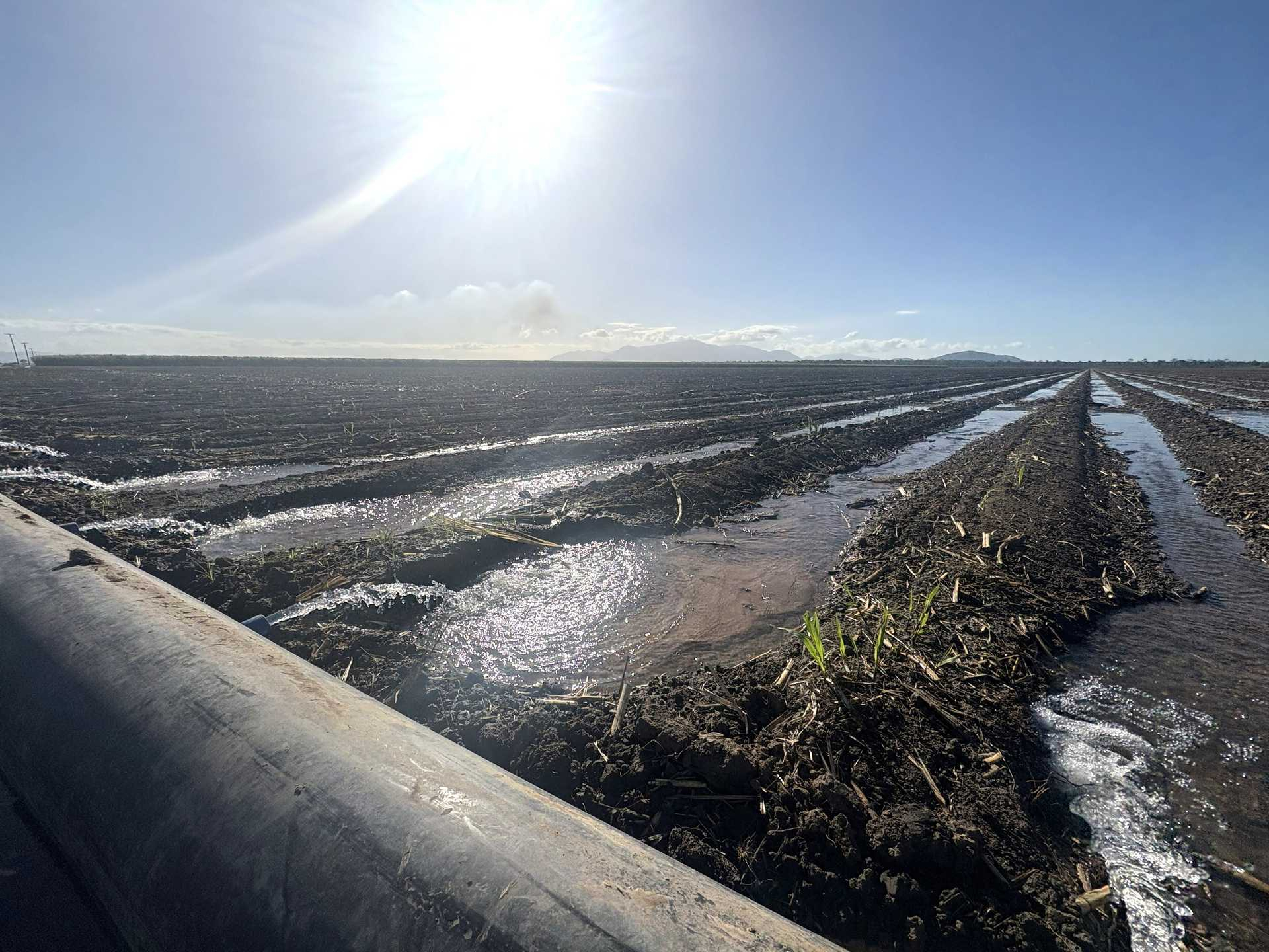 Sugarcane Farm For Sale QLD
