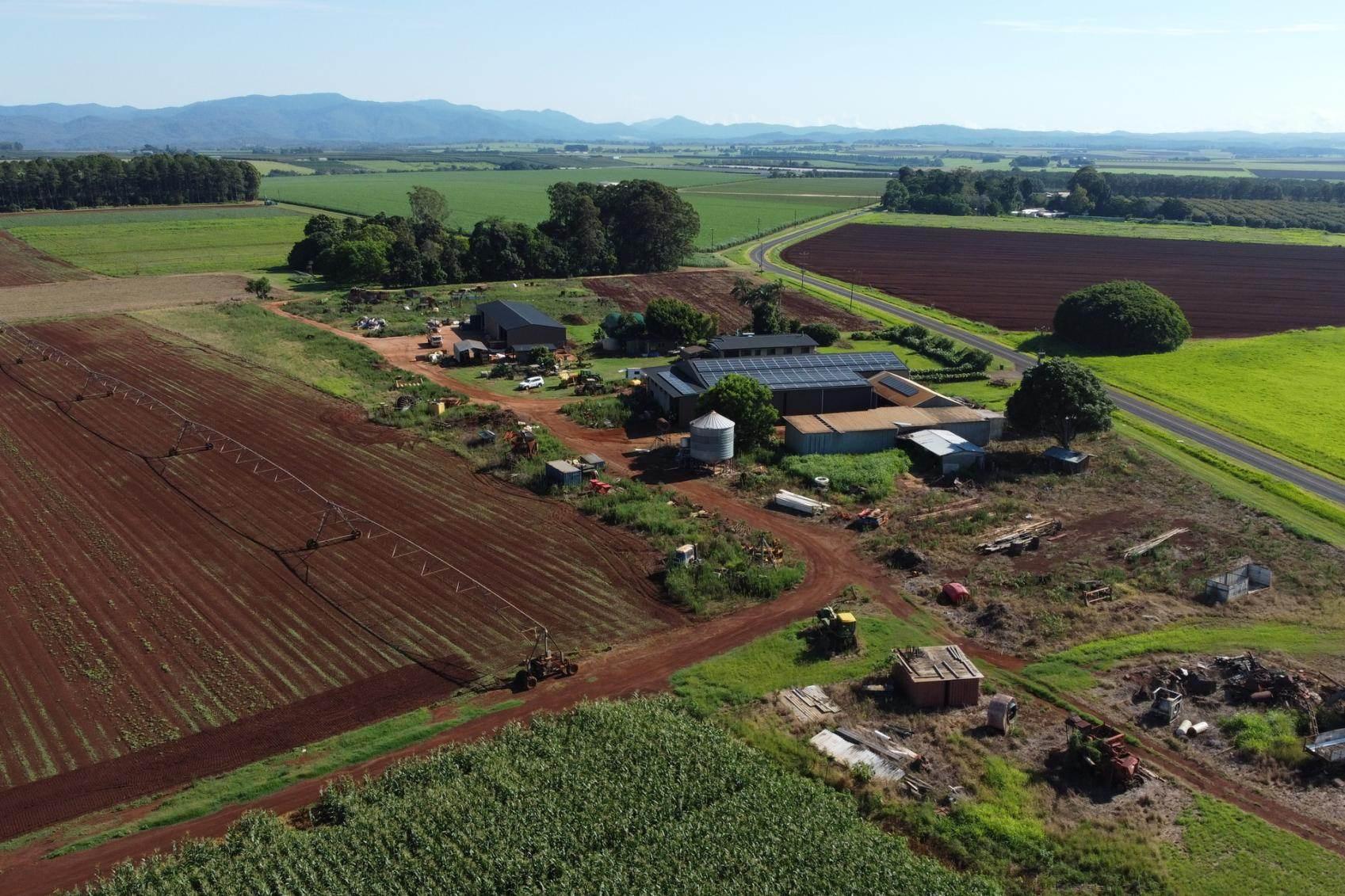 Avocado Farm For Sale QLD