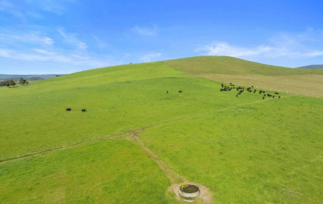 rural property for sale VIC