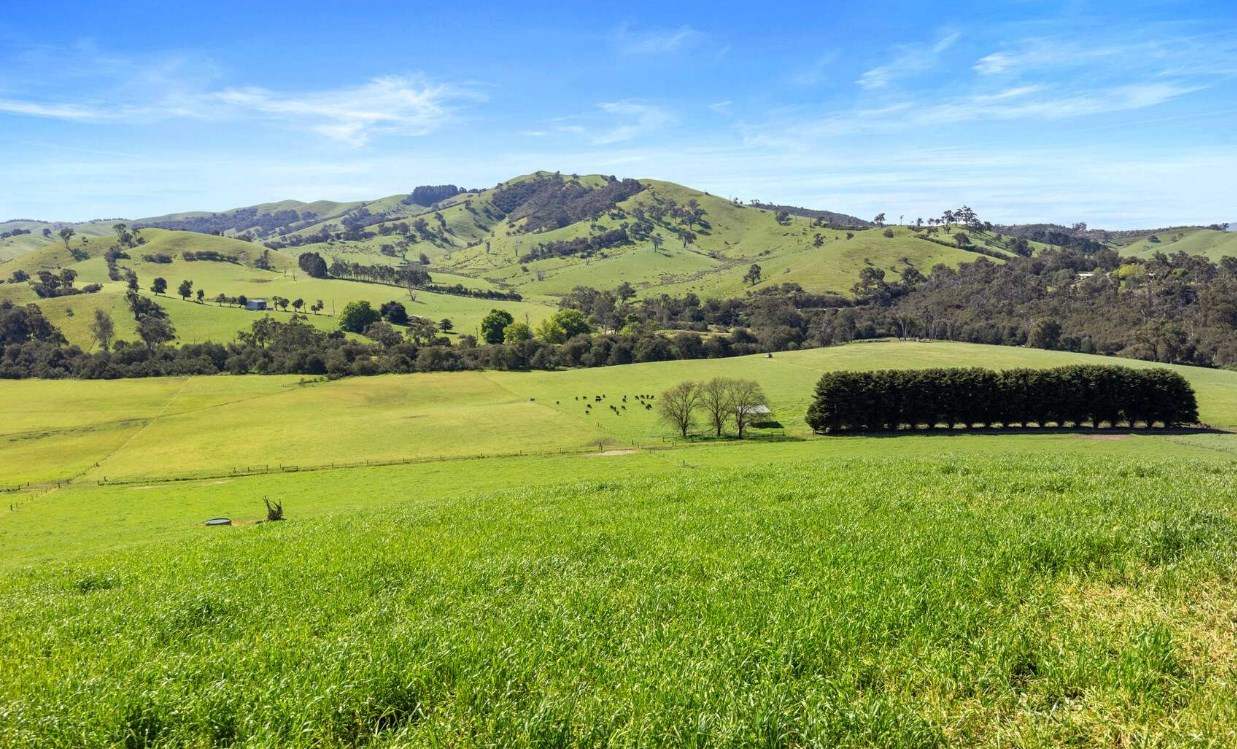 rural property for sale VIC