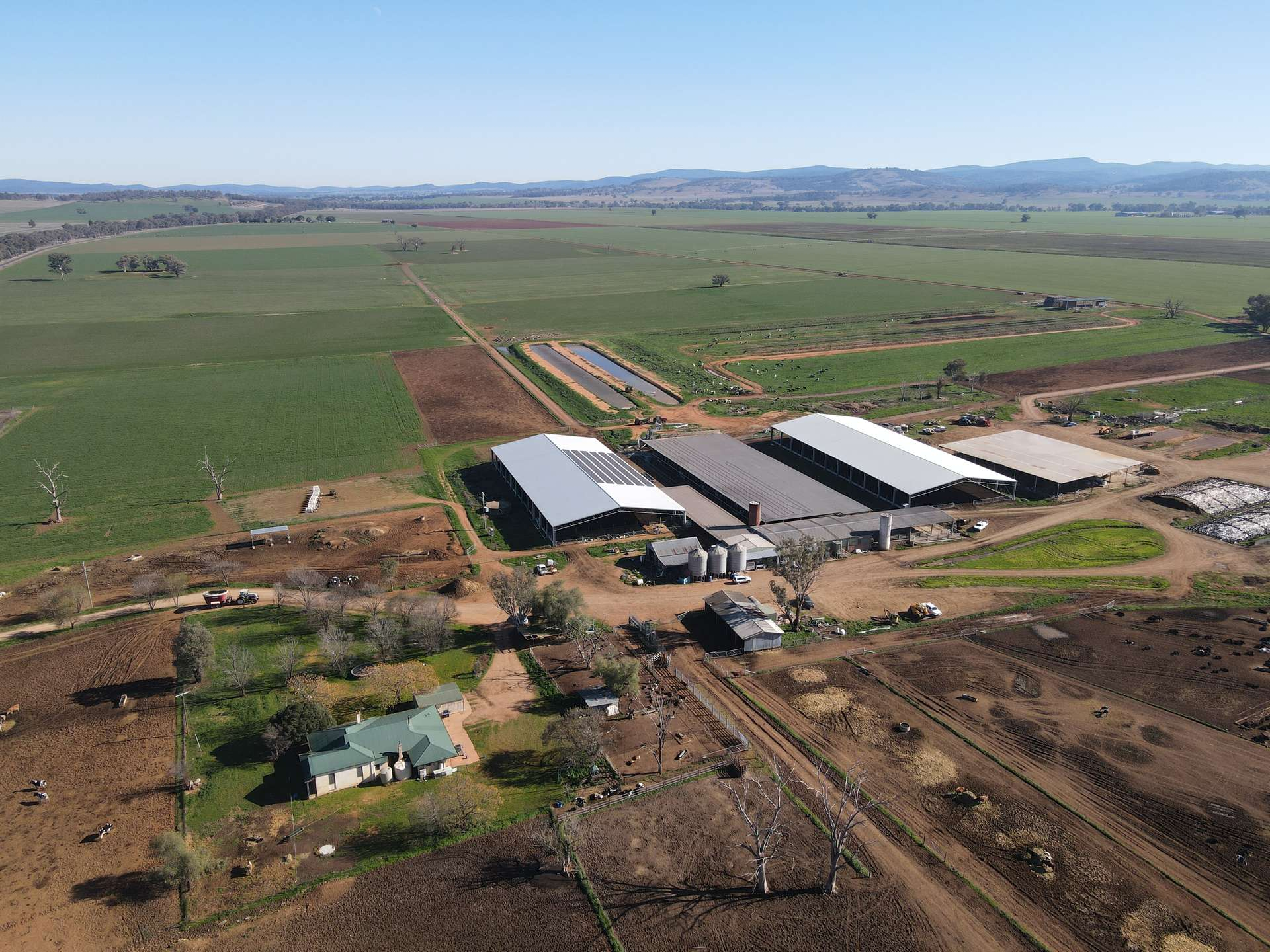 dairy farm for sale NSW