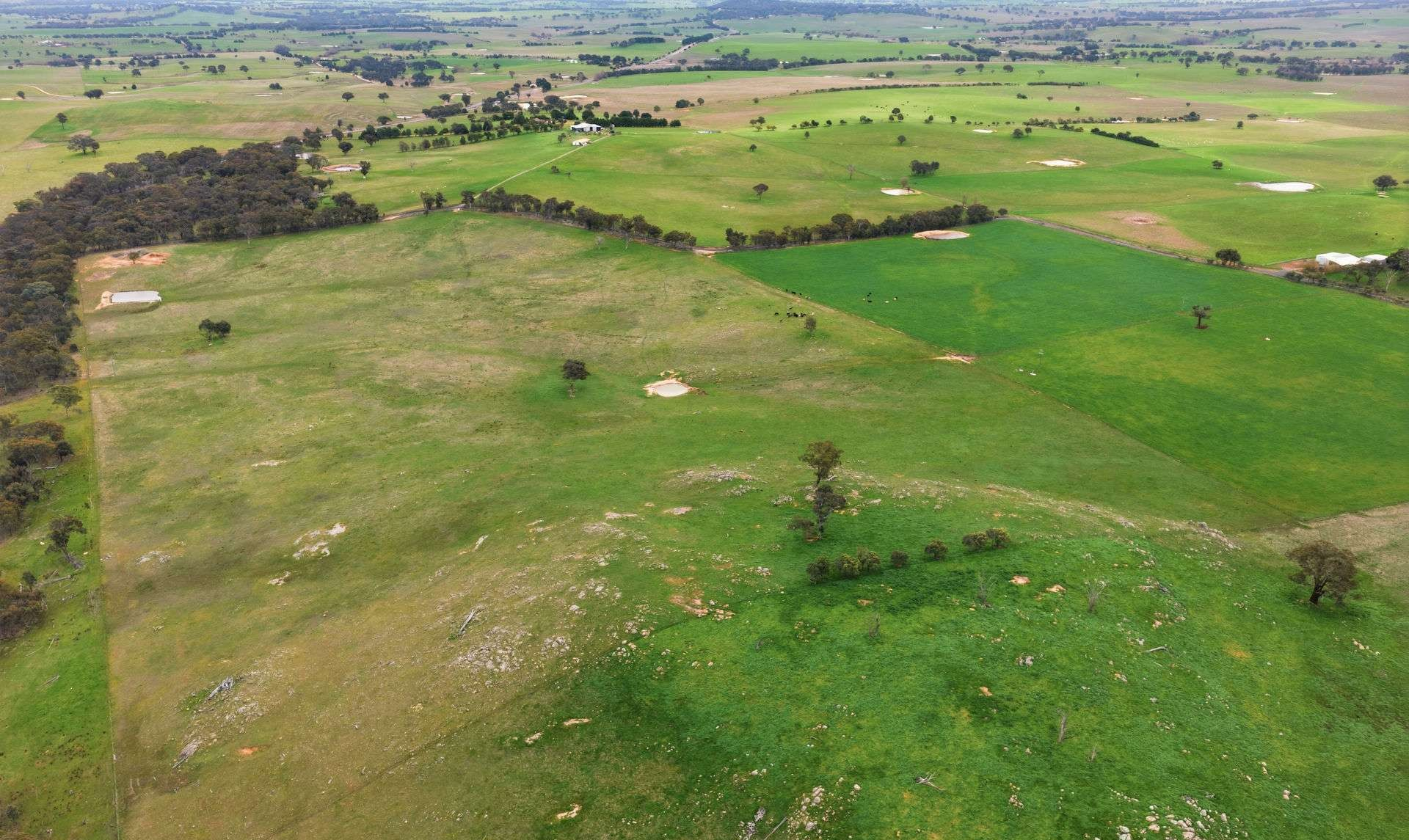Mixed Farm For Sale NSW