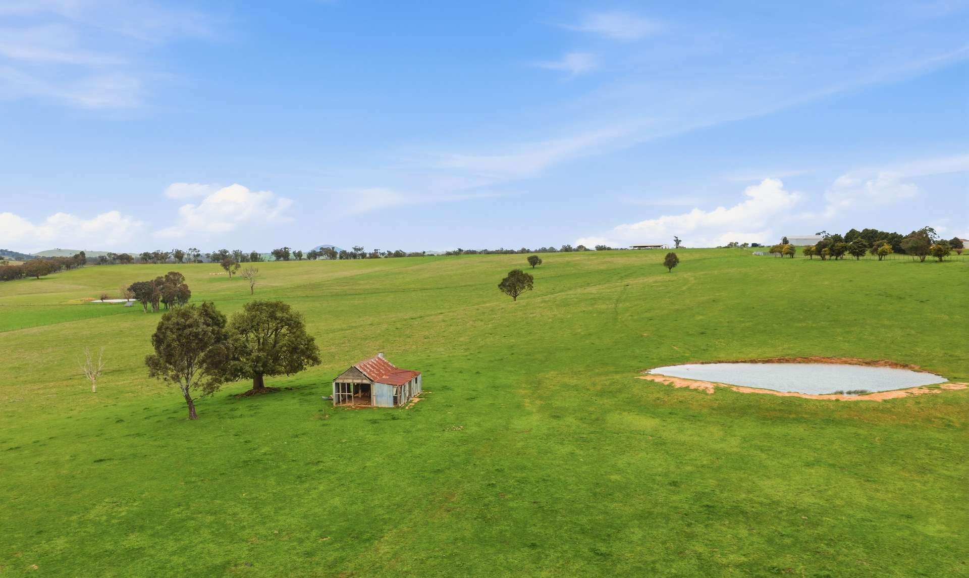 Mixed Farm For Sale NSW