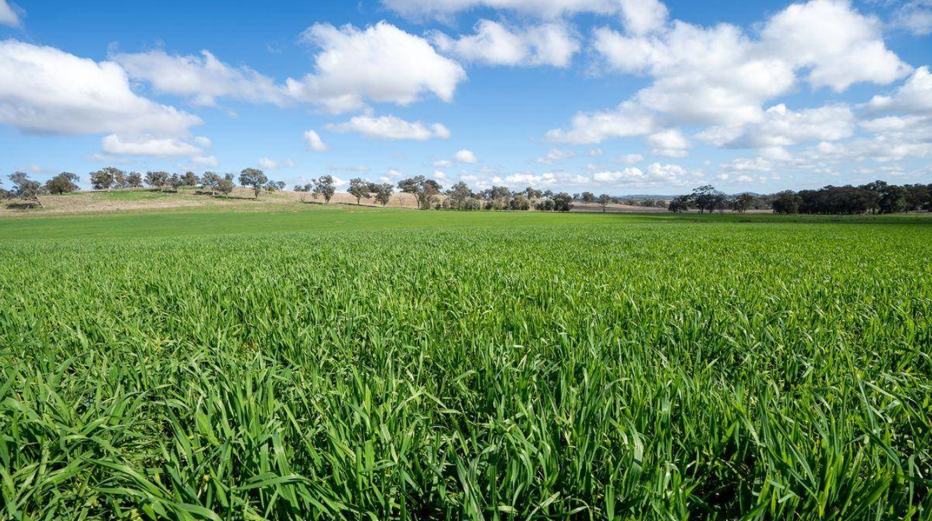 rural property for sale NSW Central Westt