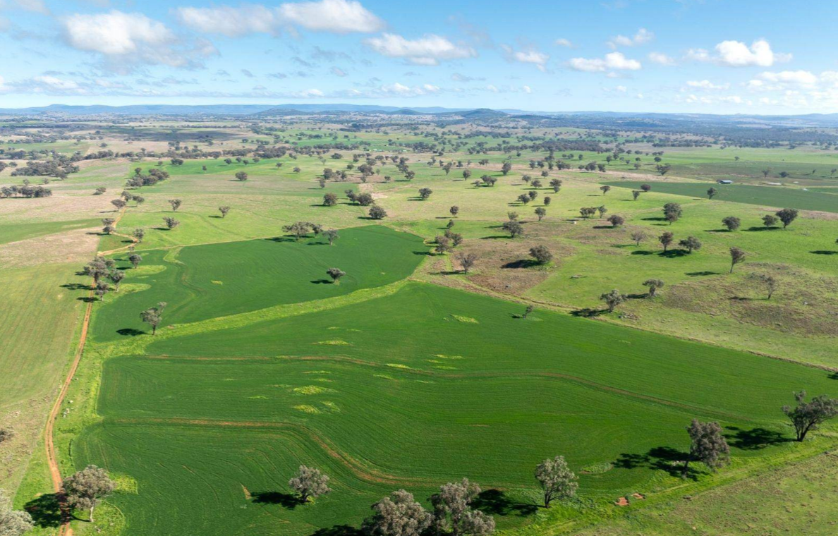 rural property for sale NSW Central West