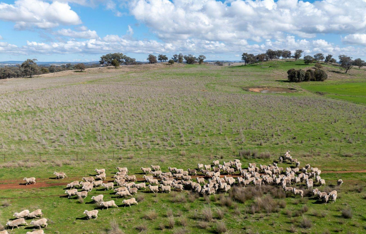 rural property for sale NSW Central West