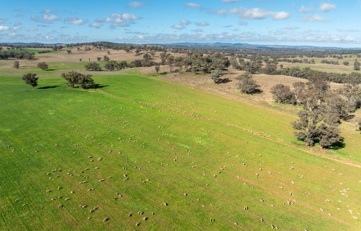 rural property for sale NSW Central West