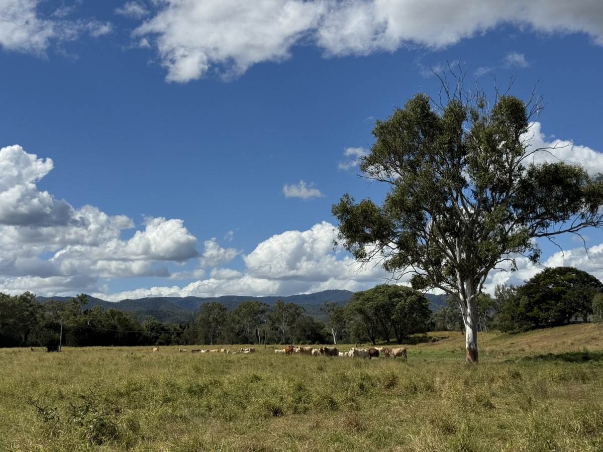 farm for sale QLD