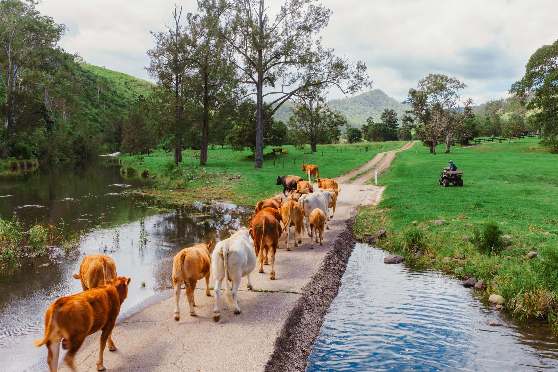 rural property for sale QLD