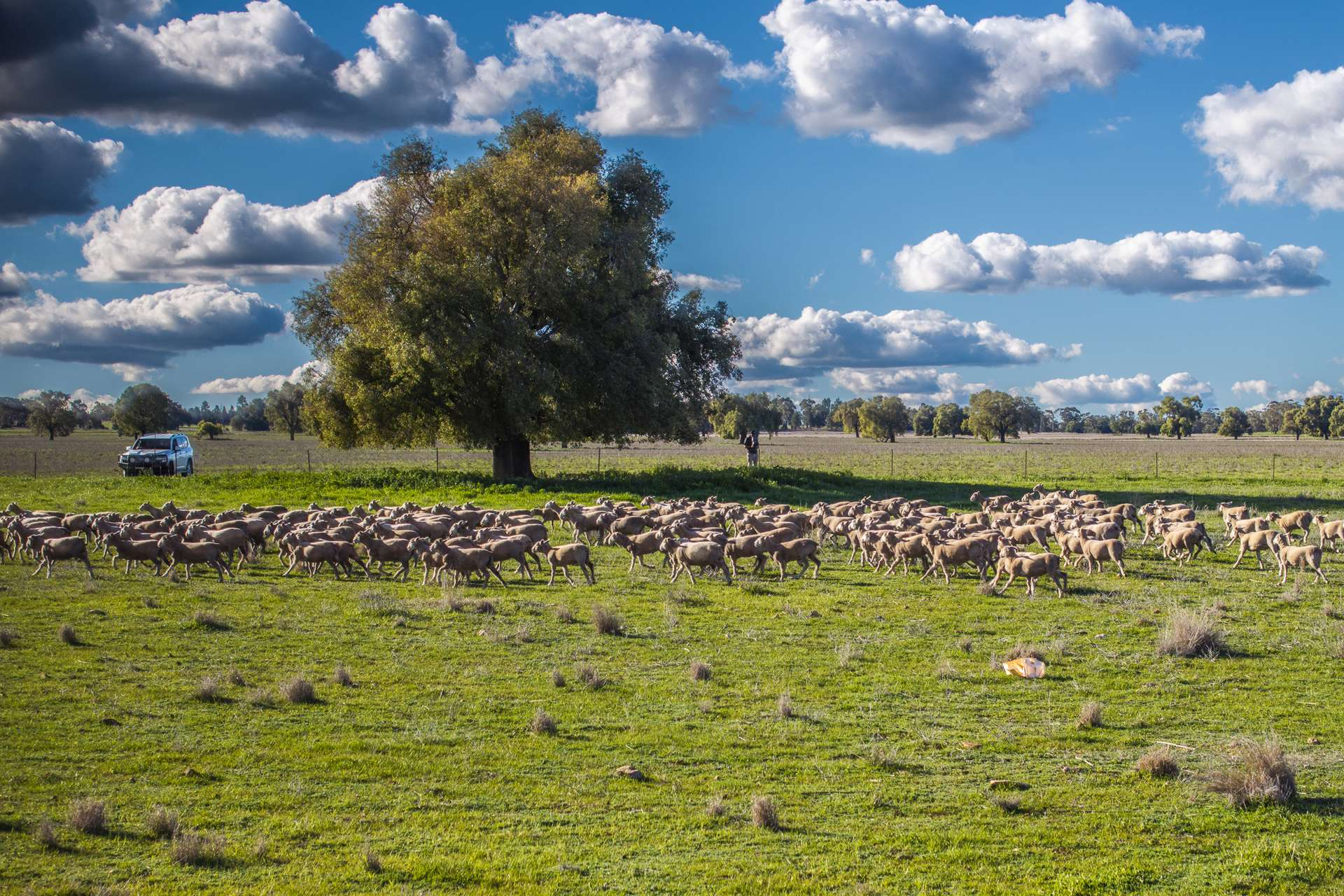 rural property for sale NSW