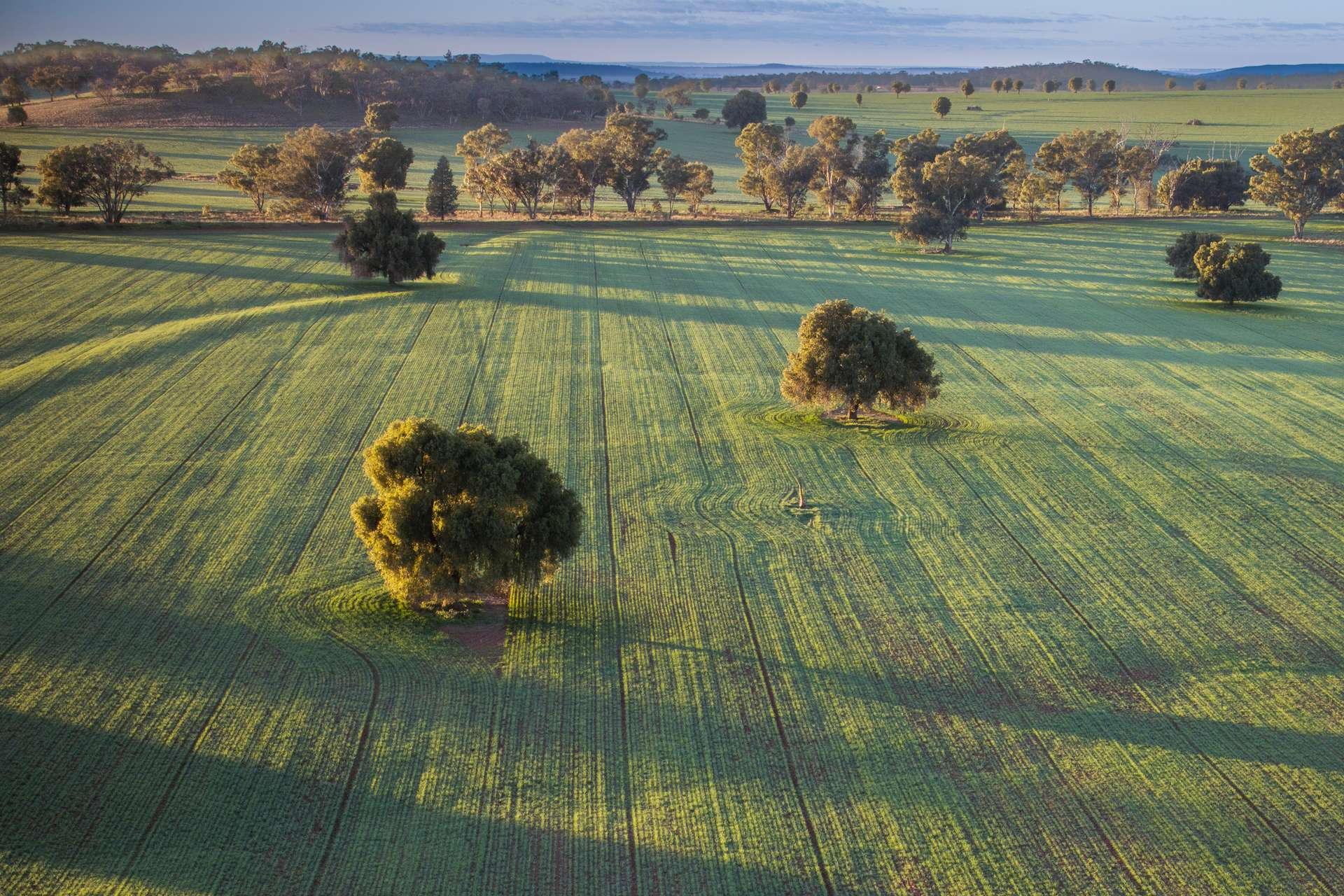 rural property for sale NSW