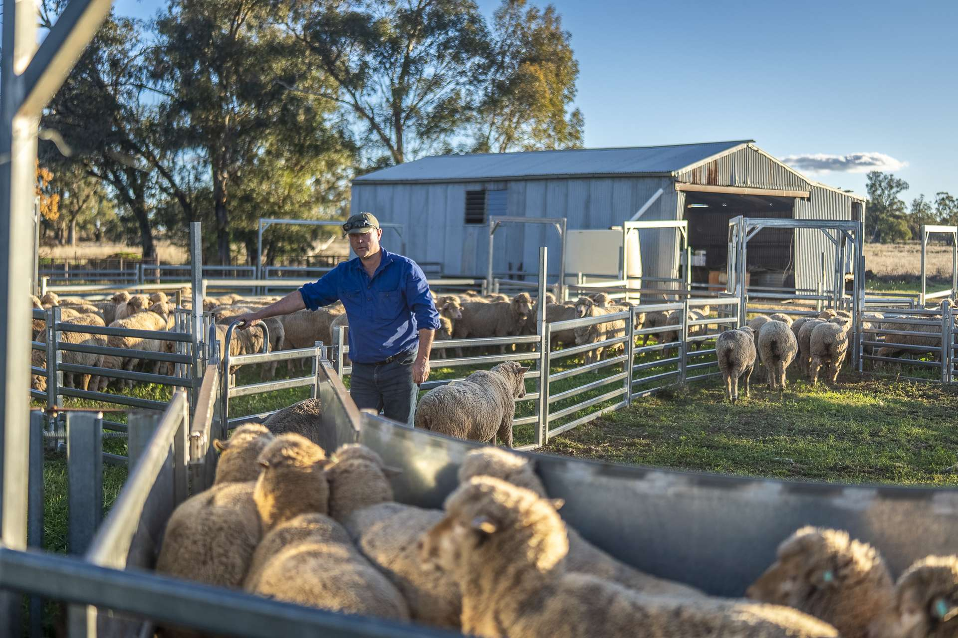 rural property for sale NSW