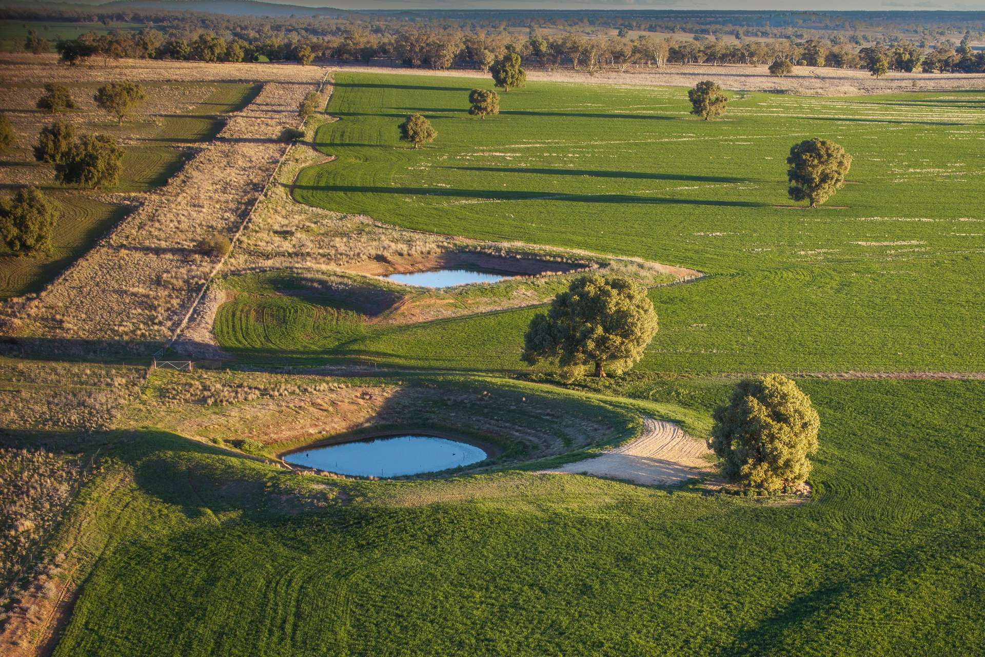 rural property for sale NSW