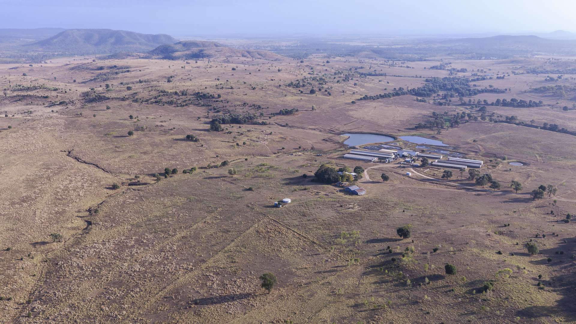 Pig Farm For Sale QLD