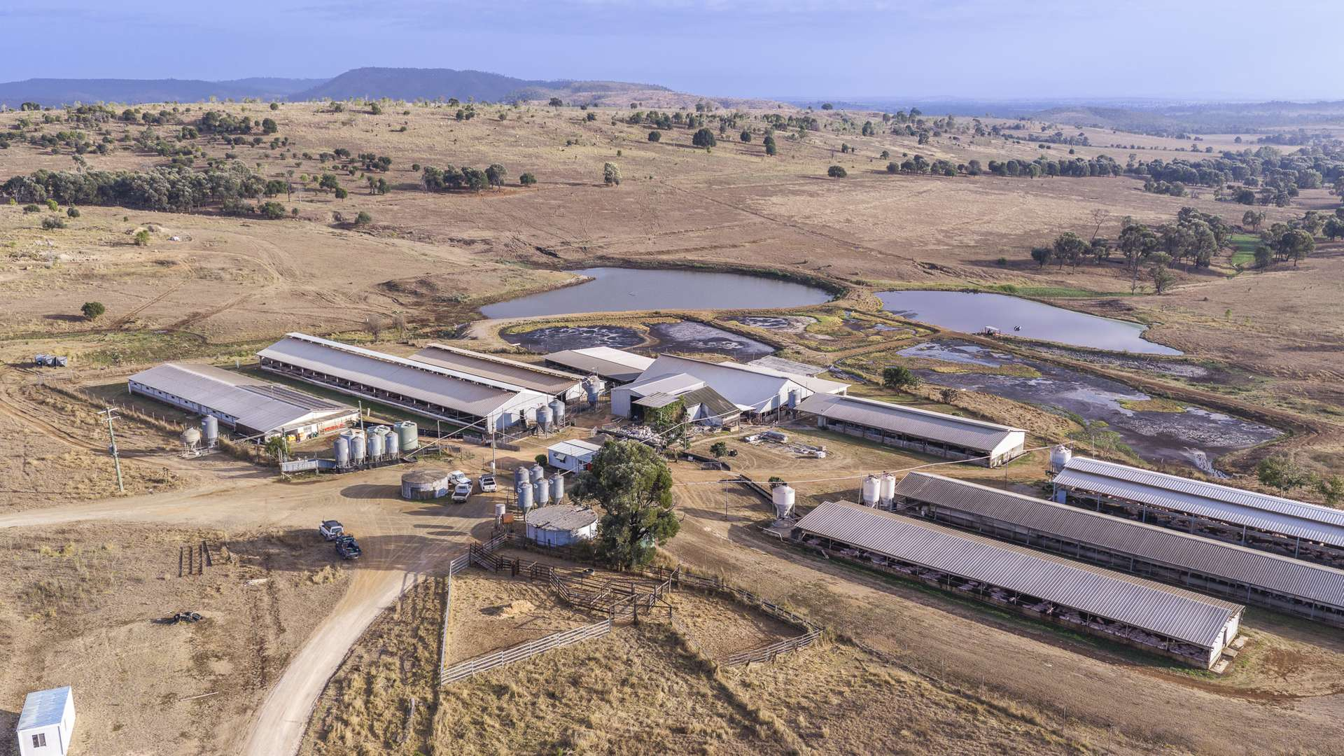 Pig Farm For Sale QLD