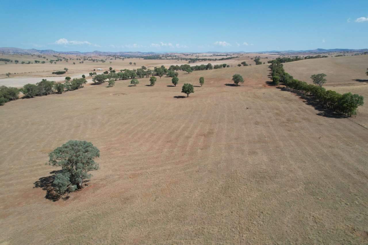 Rural Property For Sale NSW