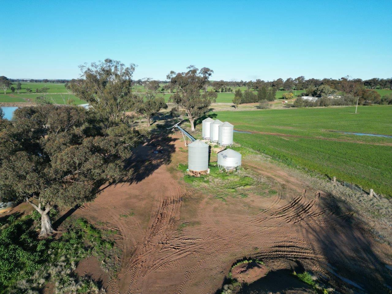 rural property for sale Young NSW 