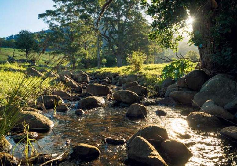 Rural Property For Sale NSW South Coast 