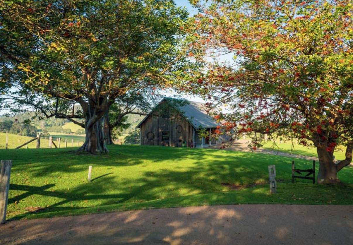 Rural Property For Sale NSW South Coast 