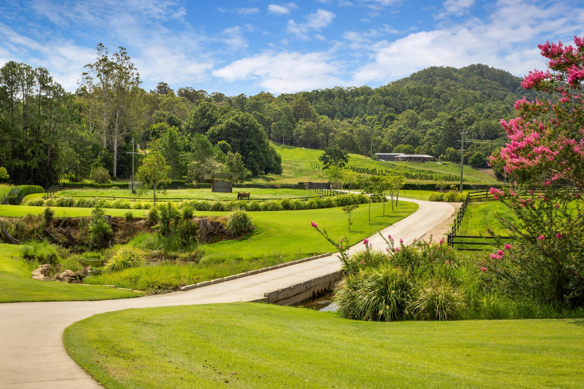 horse property for sale NSW