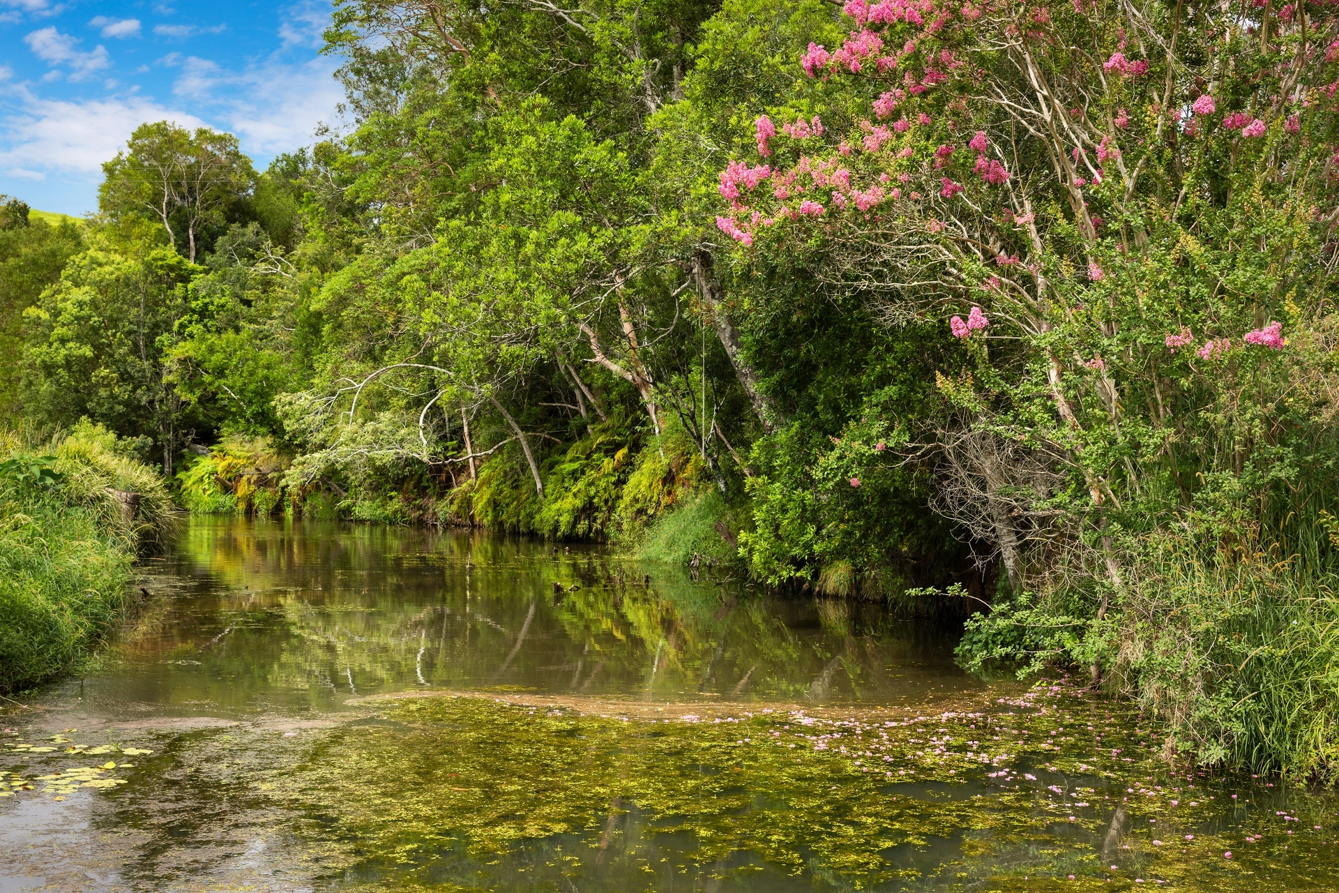horse property for sale NSW