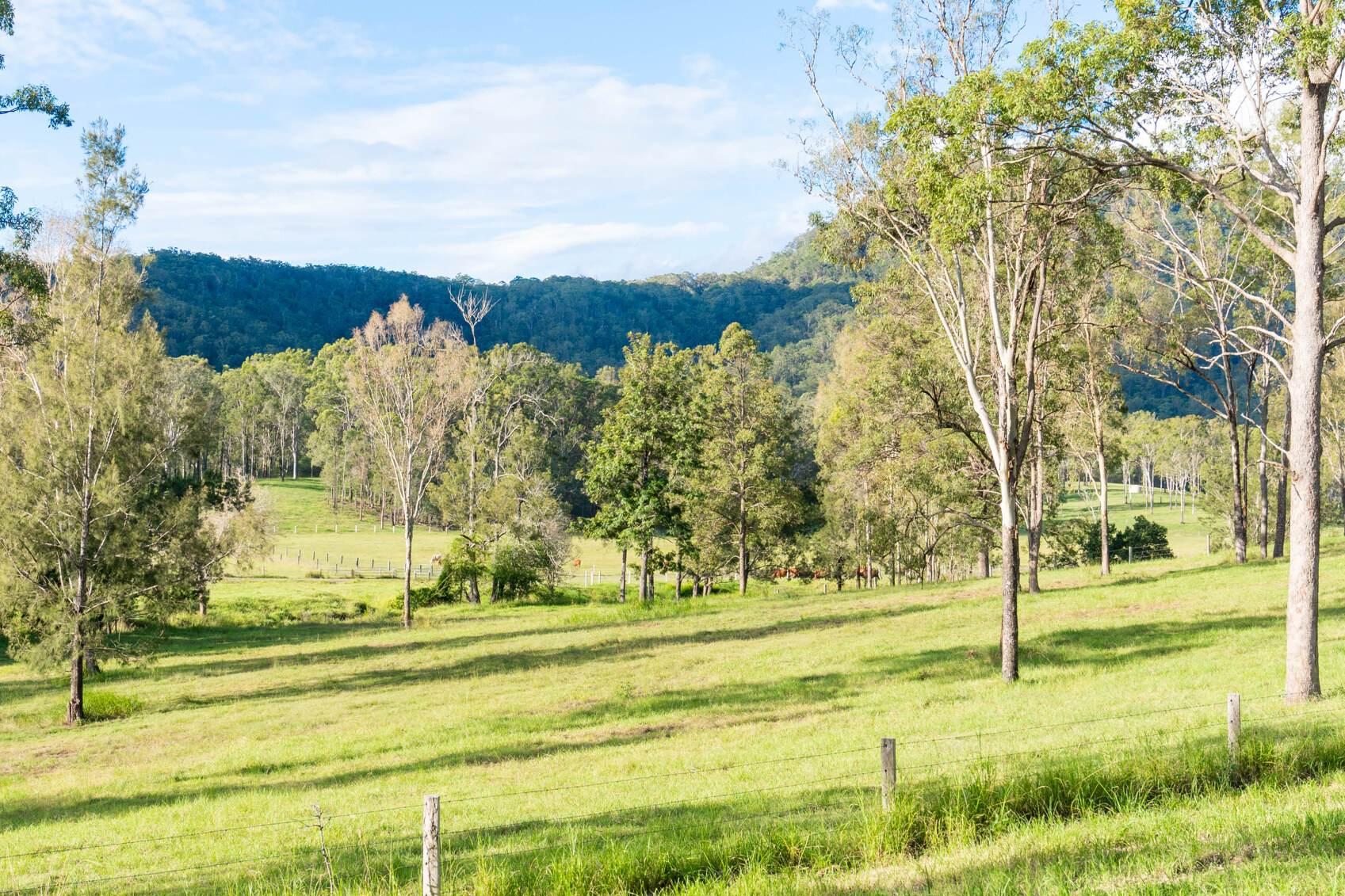 Epic 400 Hectare Rural Estate For Sale Canungra QLD