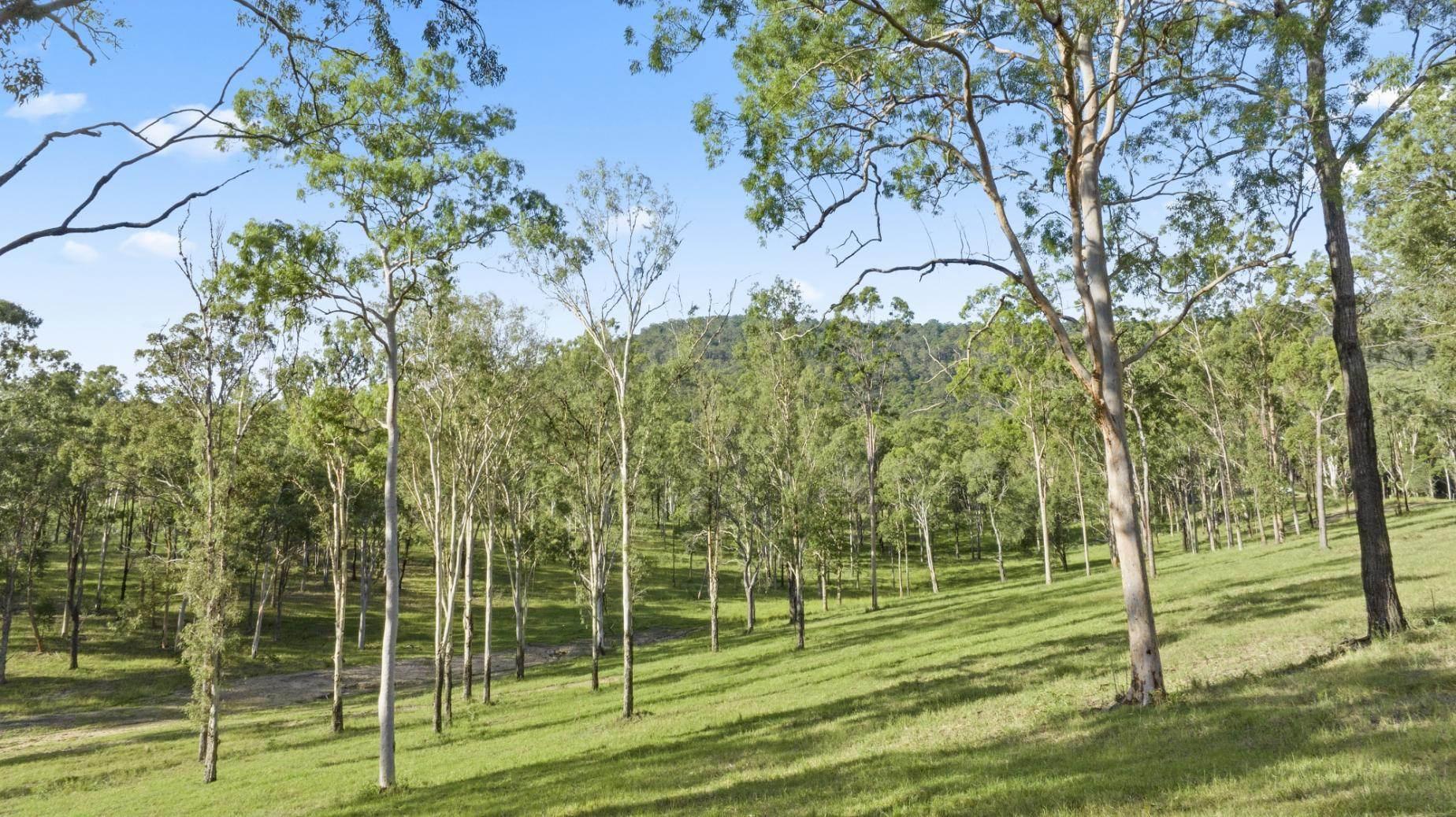 Epic 400 Hectare Rural Estate For Sale Canungra QLD