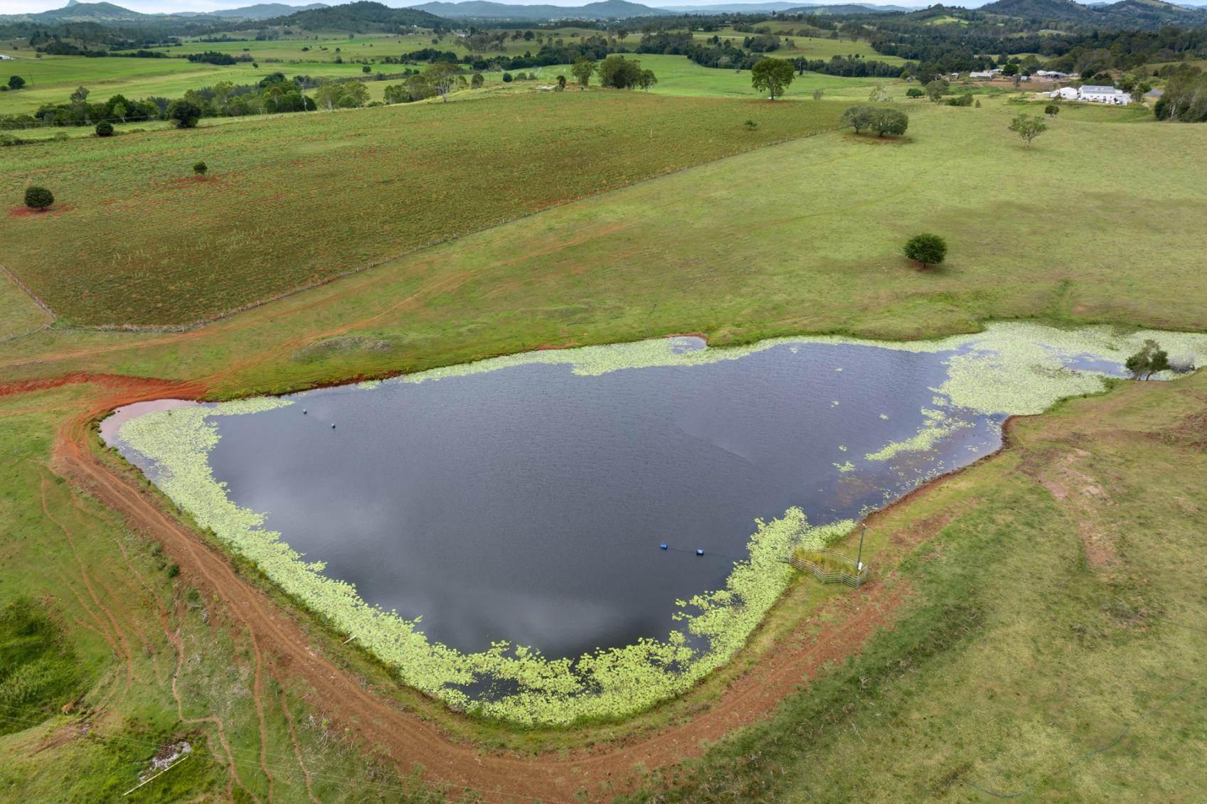 Dairy Farms For Sale Australia