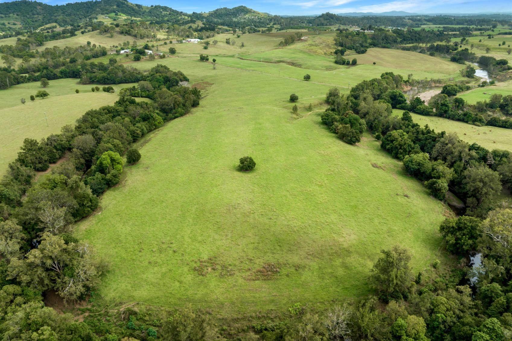 Dairy Farms For Sale Australia