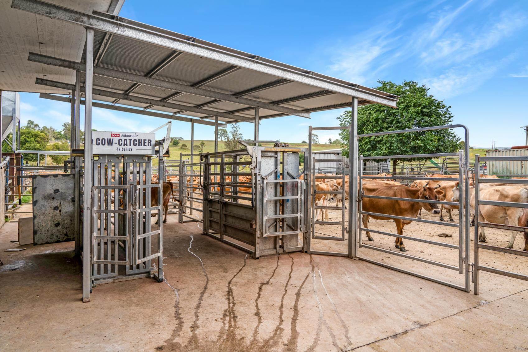 Dairy Farms For Sale Australia