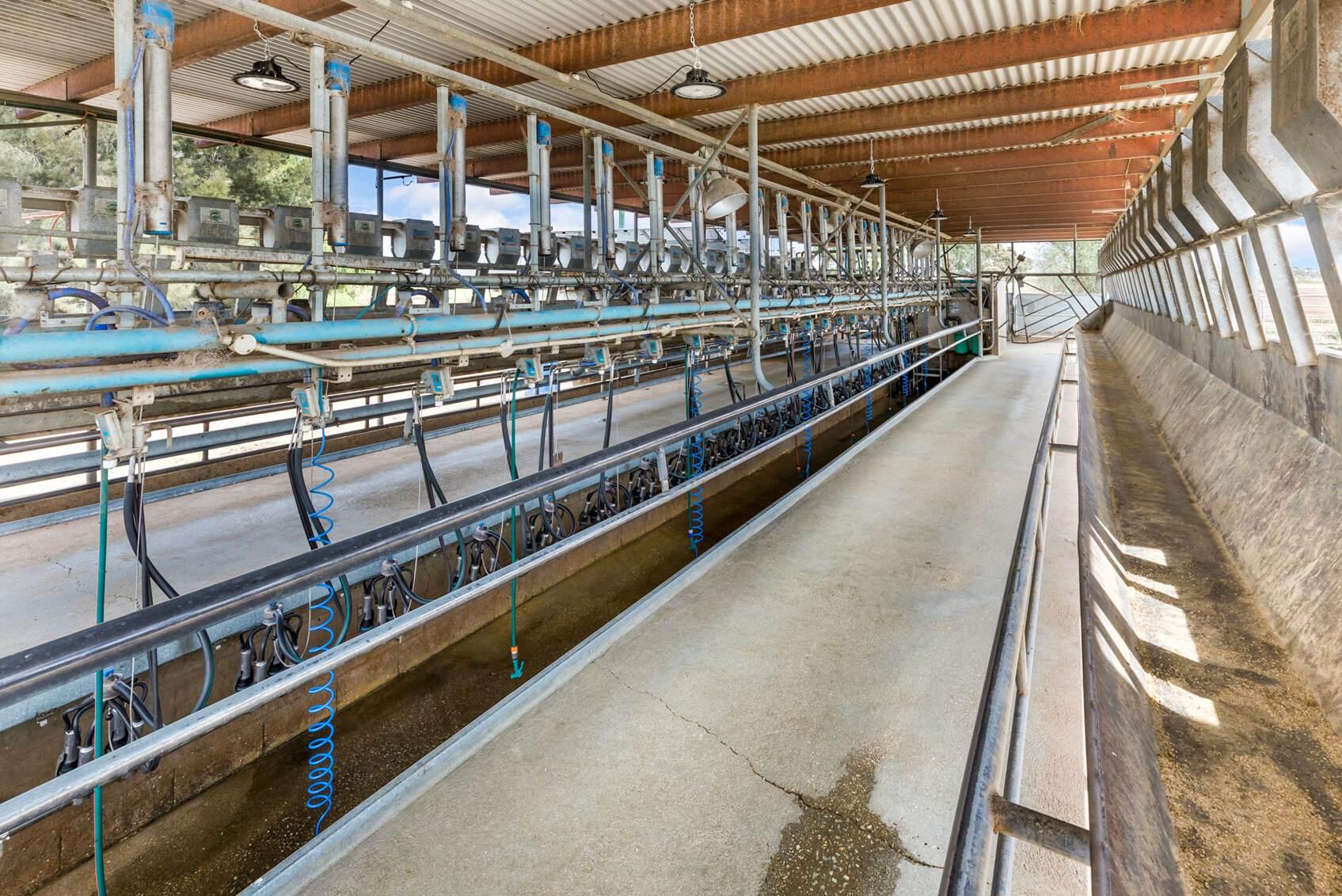 Dairy Farms For Sale Australia