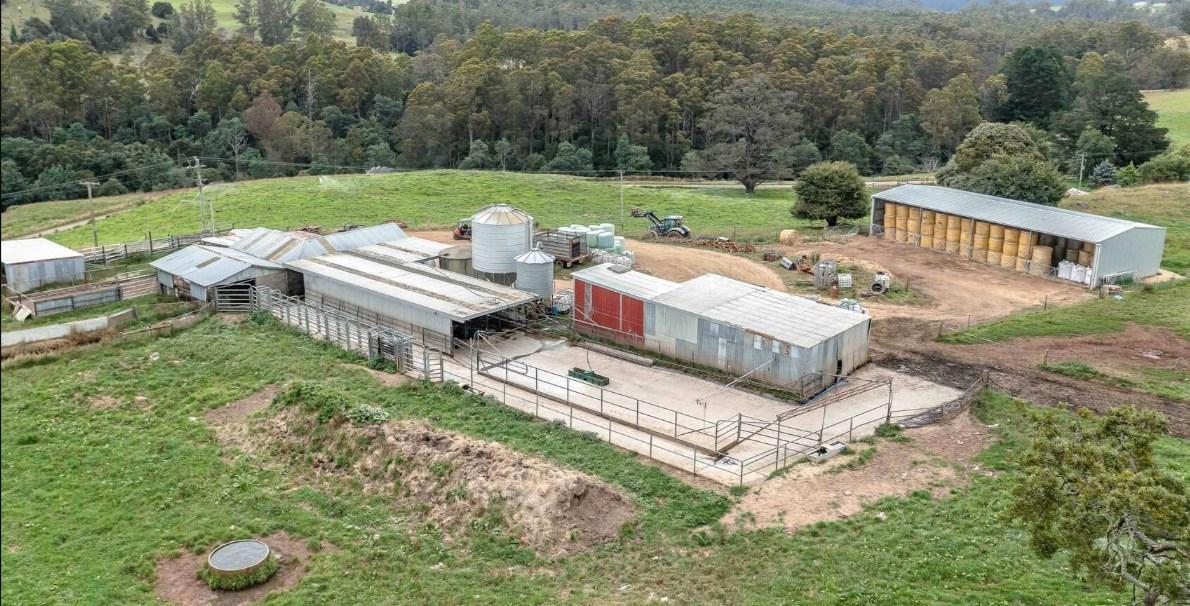Dairy Farms For Sale Australia