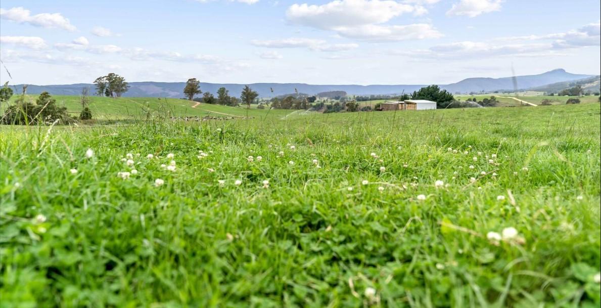 Dairy Farms For Sale Australia