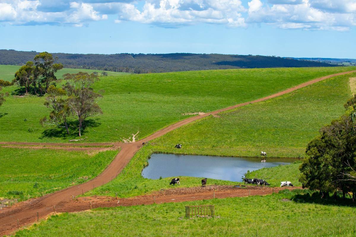 Dairy Farms For Sale Australia