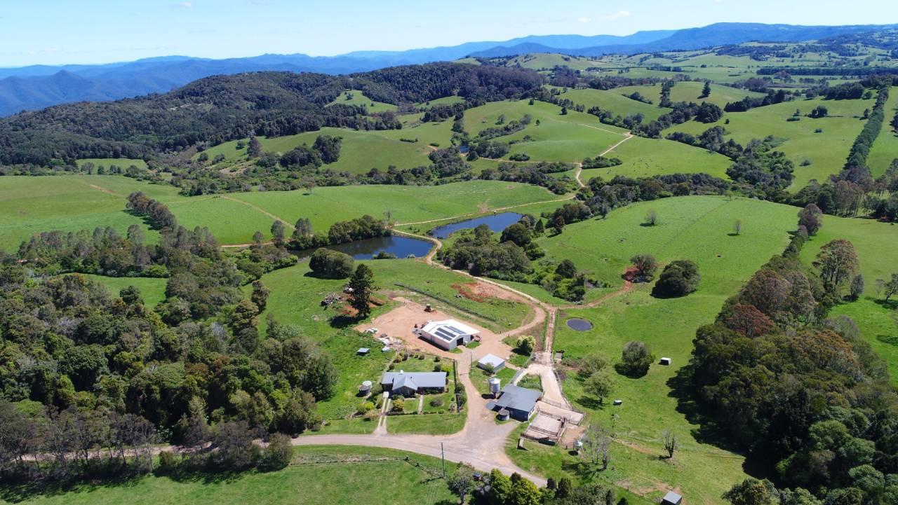 Dairy Farms For Sale Australia