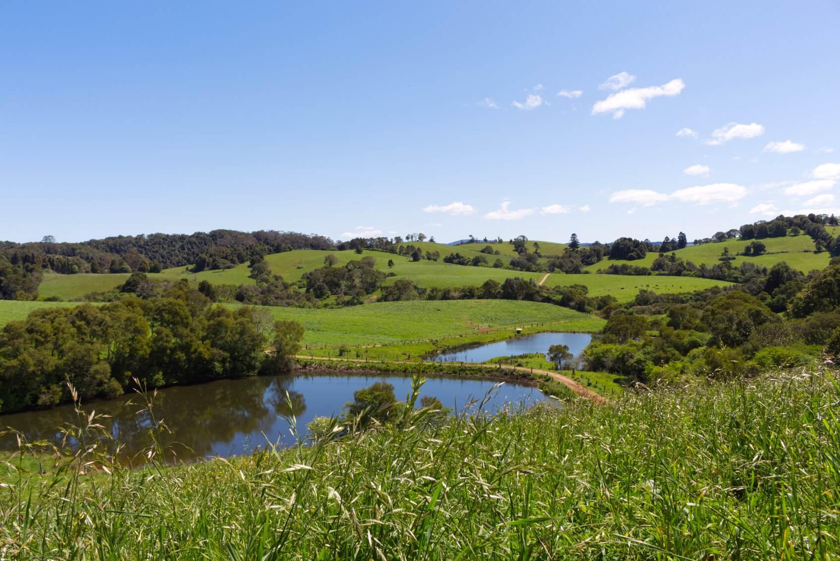 Dairy Farms For Sale Australia