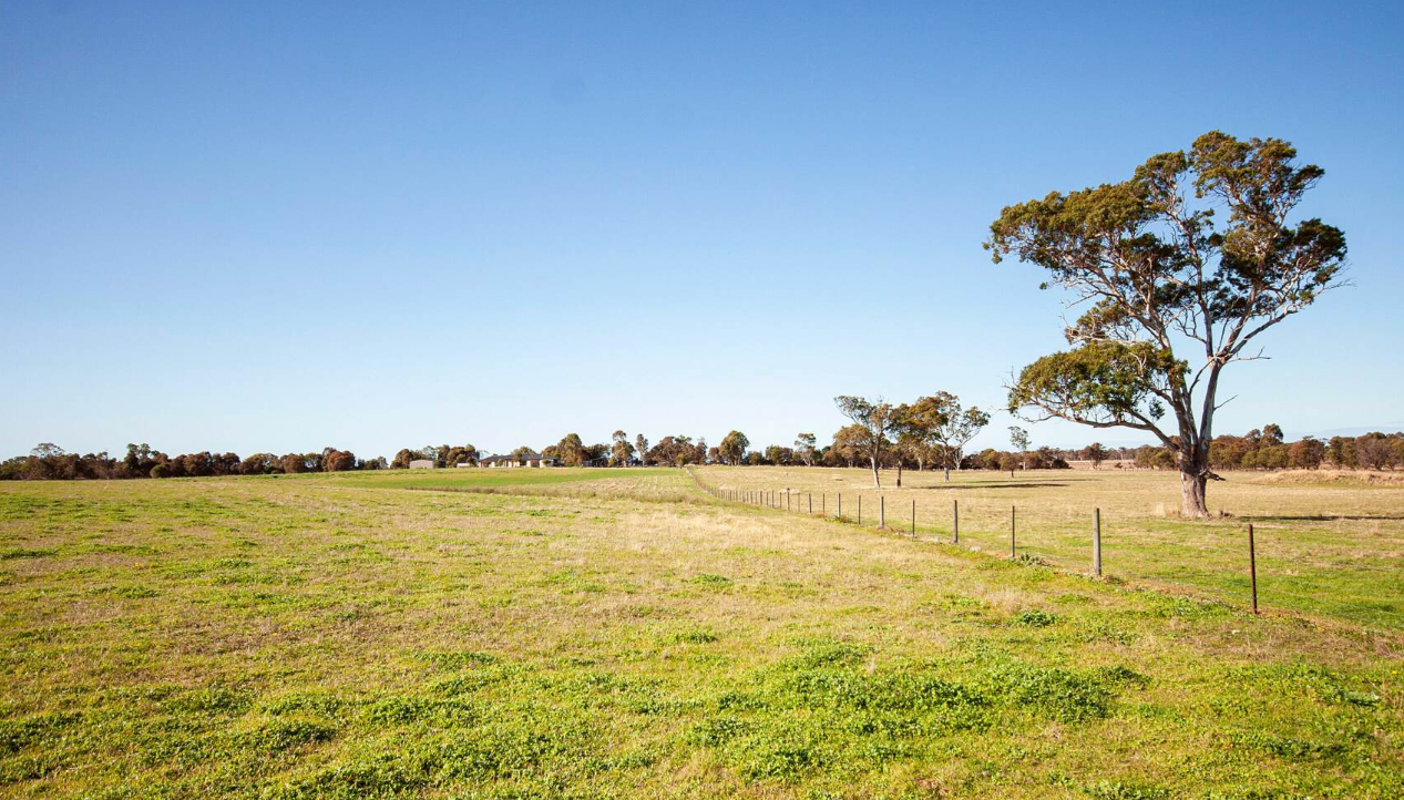 farms for sale Gippsland East VIC 