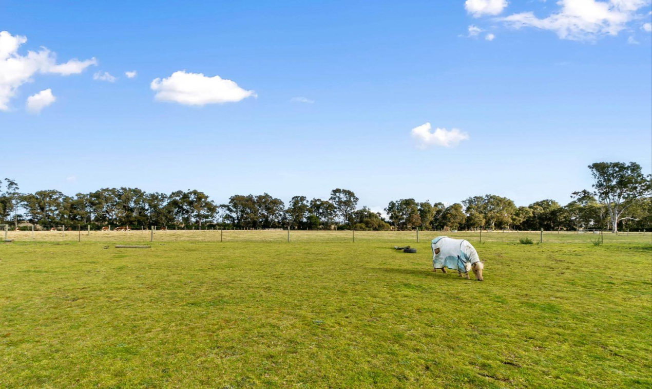 farms for sale Gippsland East VIC 