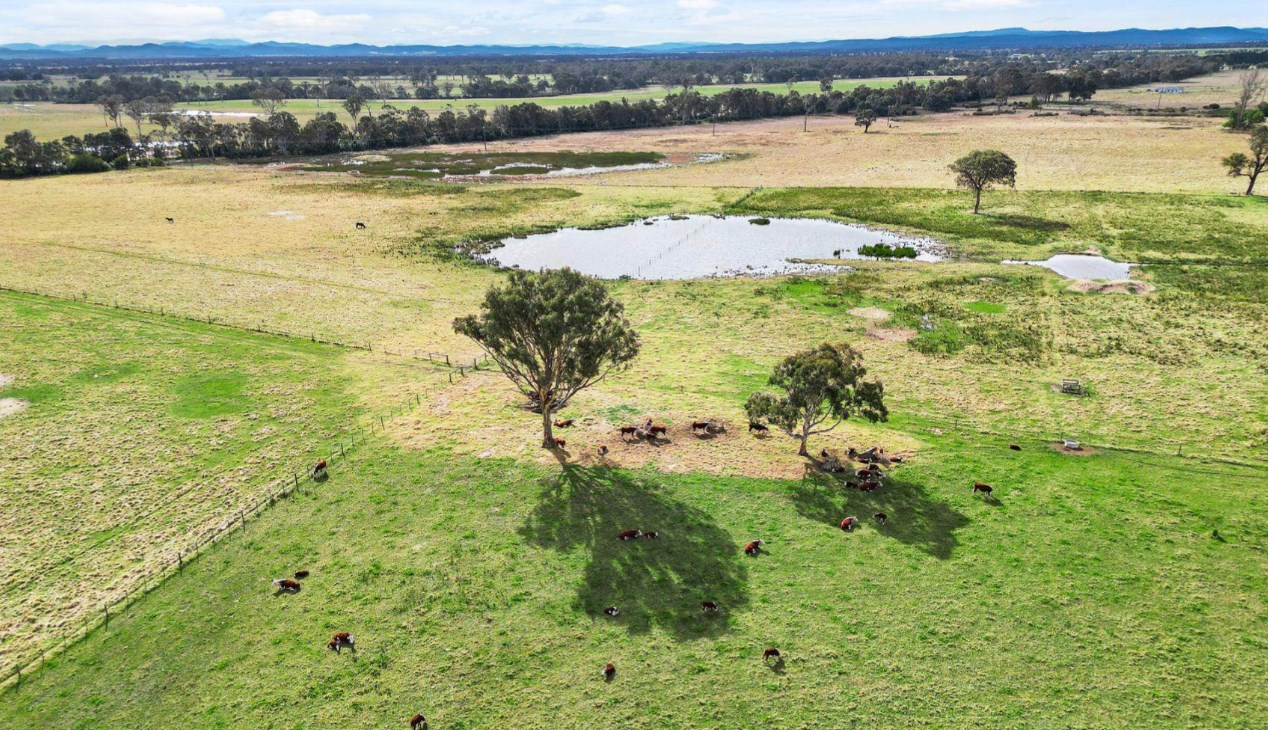 farms for sale Gippsland East VIC 