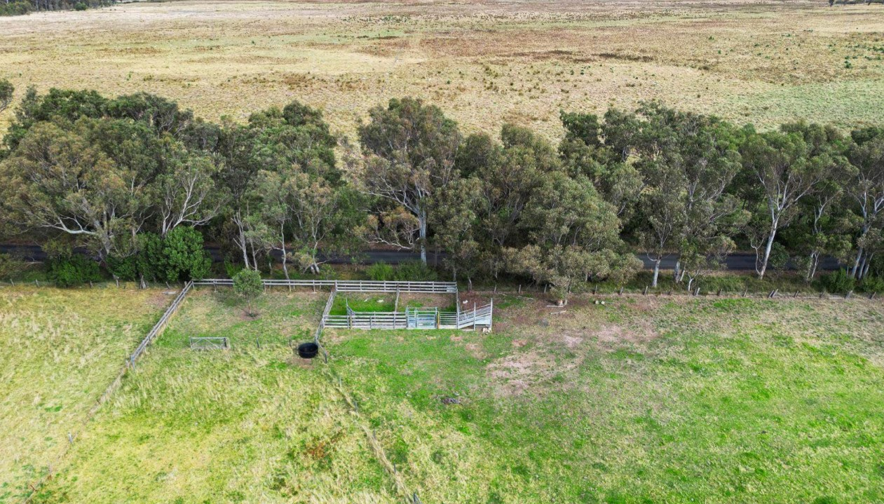 farms for sale Gippsland East VIC 