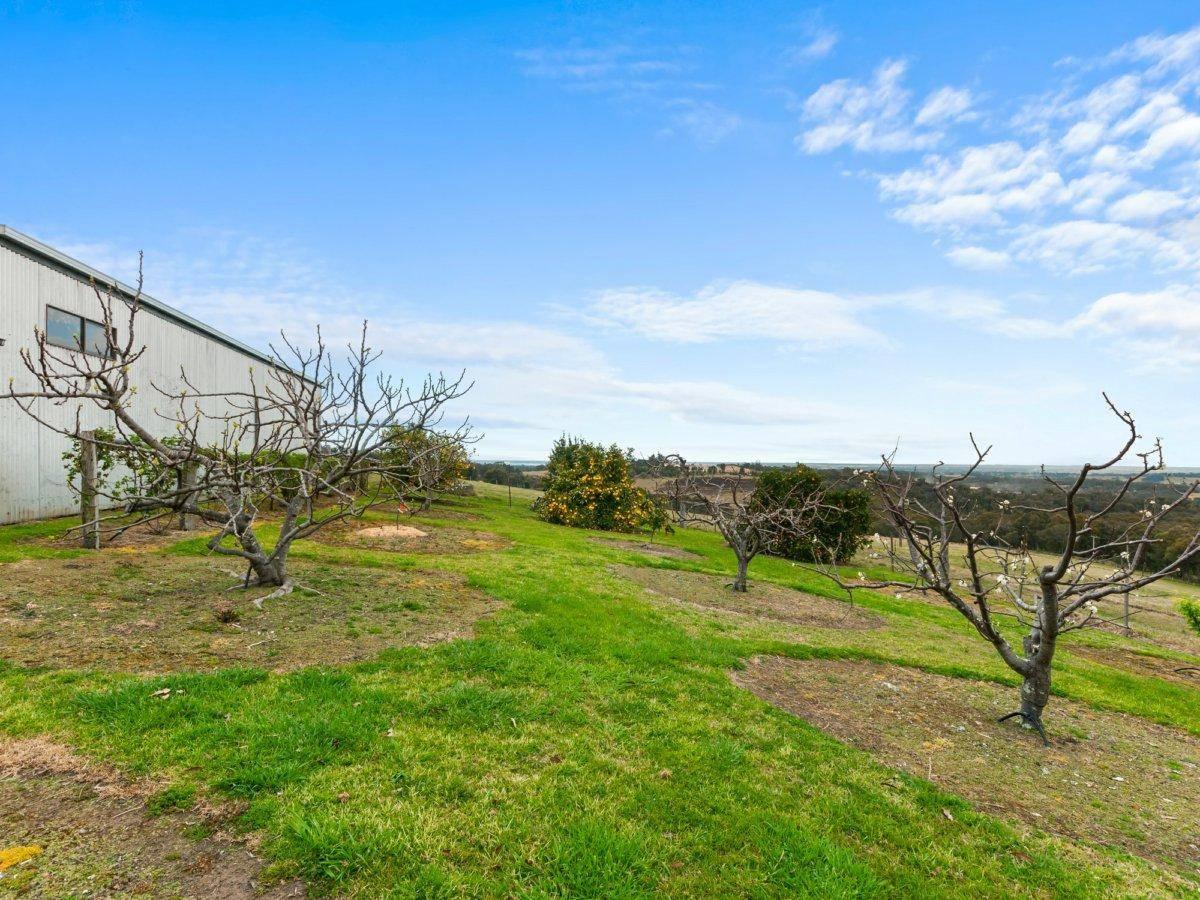 Five Of The Best Farms for Sale Gippsland East VIC