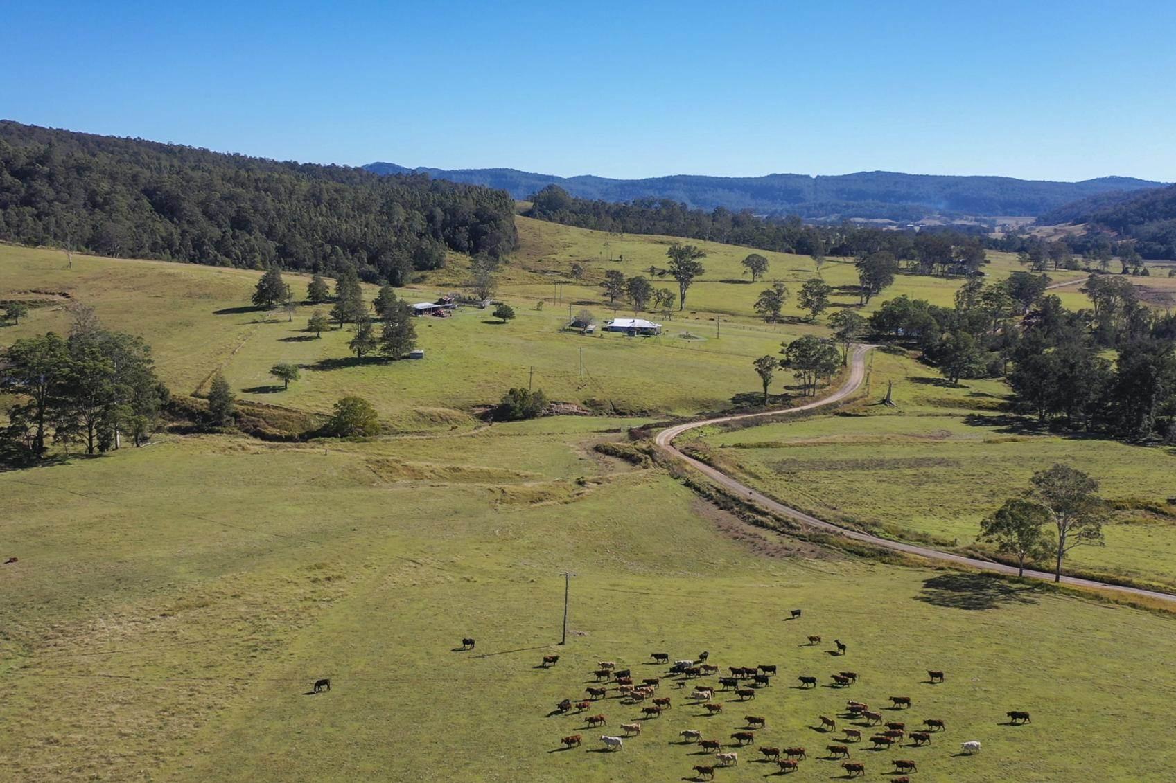 Rural Properties For Sale Grafton NSW