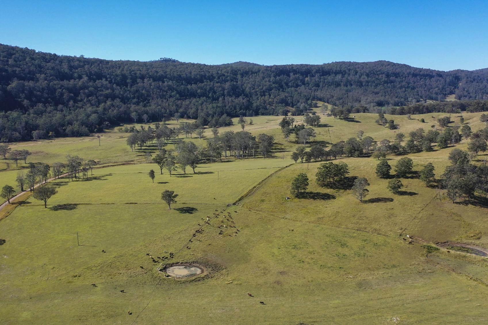 Rural Properties For Sale Grafton NSW