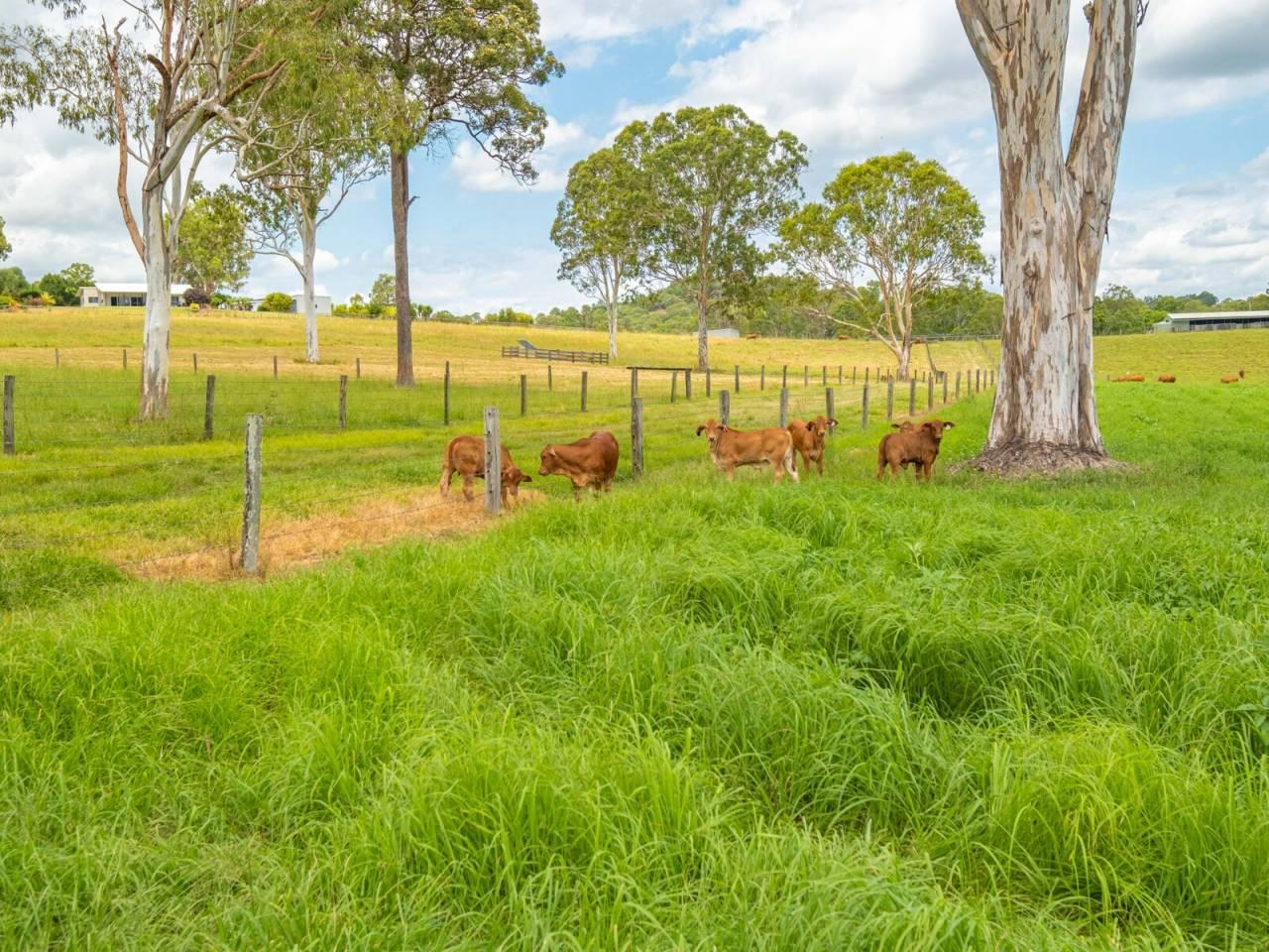 Rural Properties For Sale Wide Bay Burnett