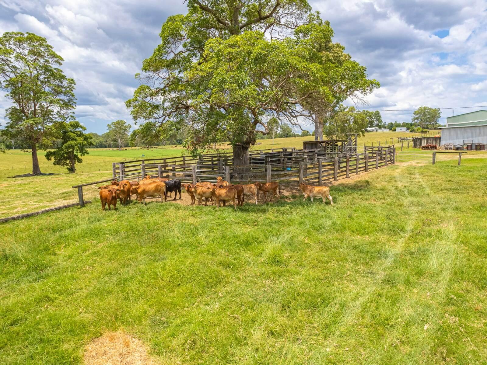 Rural Properties For Sale Wide Bay Burnett