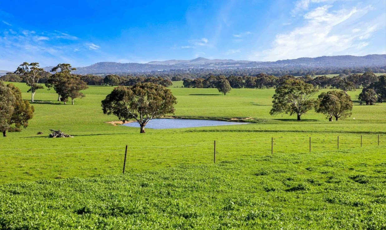Farms For Sale In South West Victoria