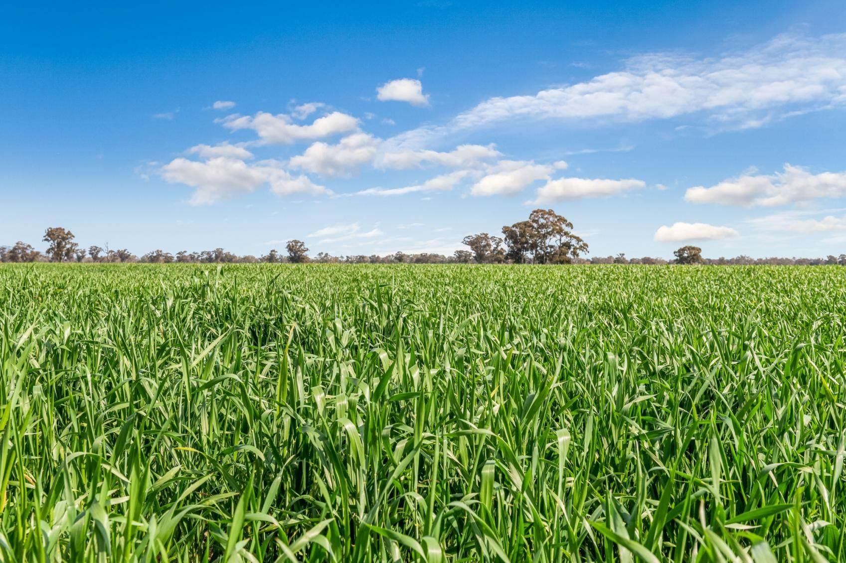 Farms For Sale Shepparton