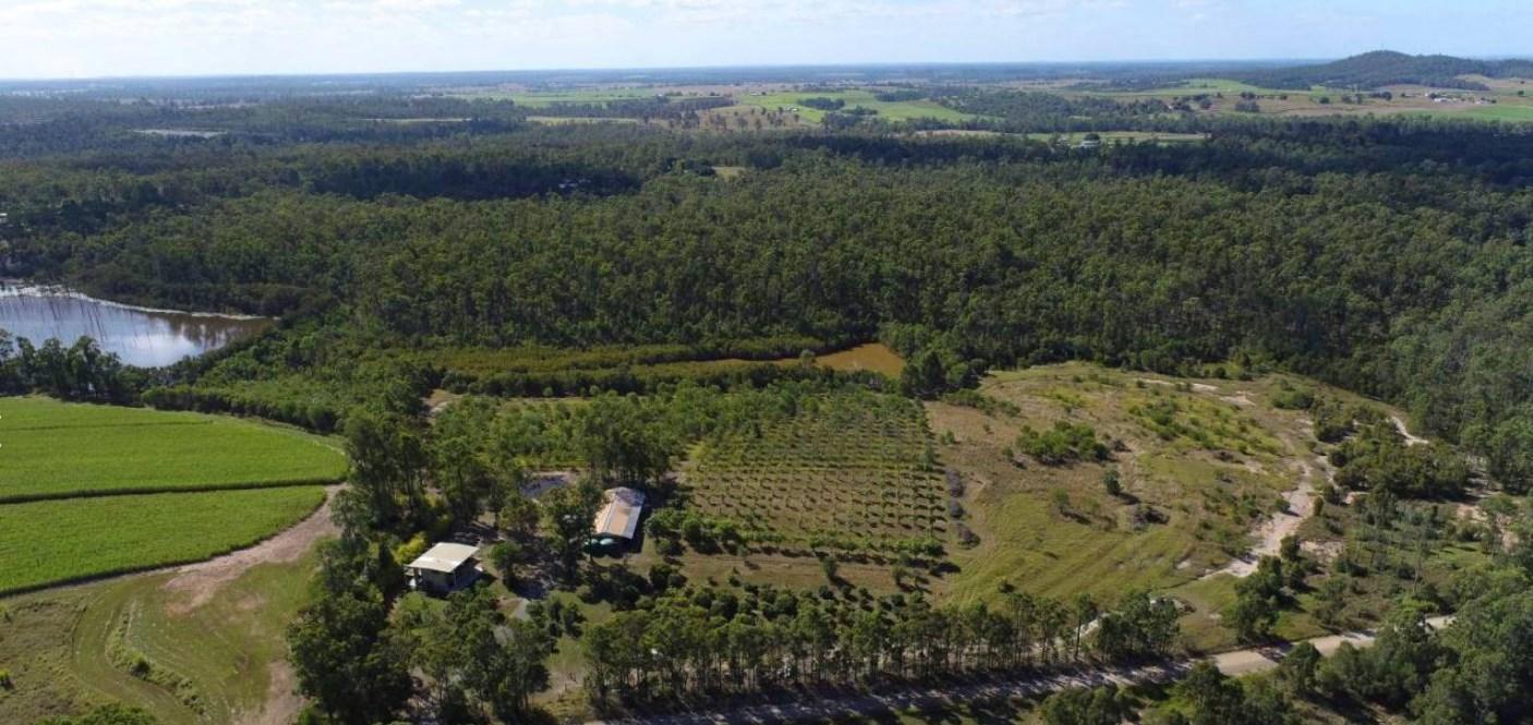 mango farms for sale Australia 
