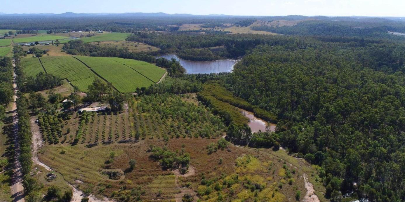 mango farms for sale Australia 